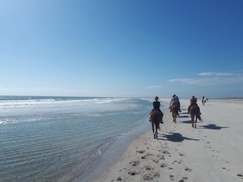 Balade à cheval sur l'île d'Amelia - Photo Sabrina Pirillo