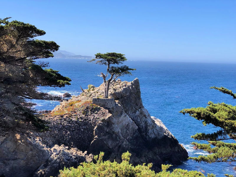 california road trip Lone Cypress Carmel 17-Mile Drive. Photo: Claudia Laroye