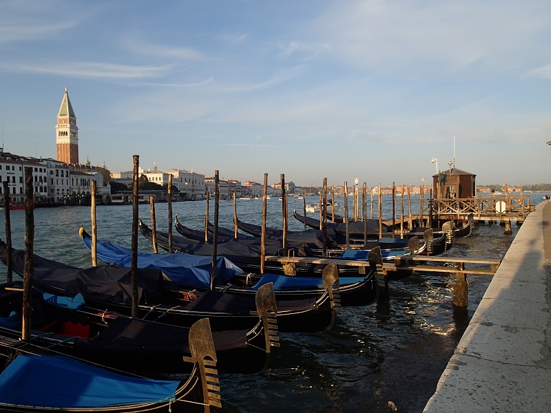 A few of Venice's 400 gondolas at rest - photo Debra Smith