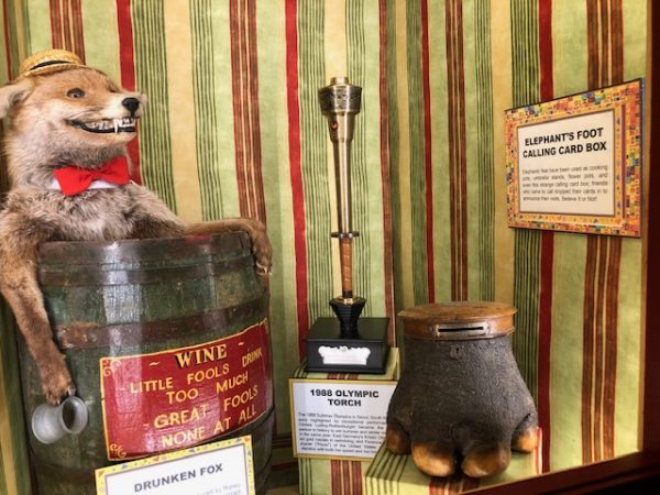 Drunken fox and friends at Ripley's Believe it or Not! Odditorium in Cavendish PEI