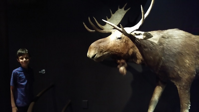 Québec Cantons-de-l'Est - Musée de la nature et des sciences de Sherbrooke -Photo Stephen Johnson