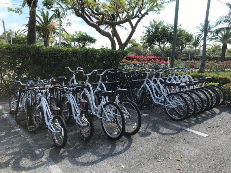 Hawks Cay Fahrräder - Foto Shelley Cameron-McCarron