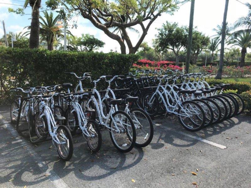 Hawks Cay bikes - Photo Shelley Cameron-McCarron