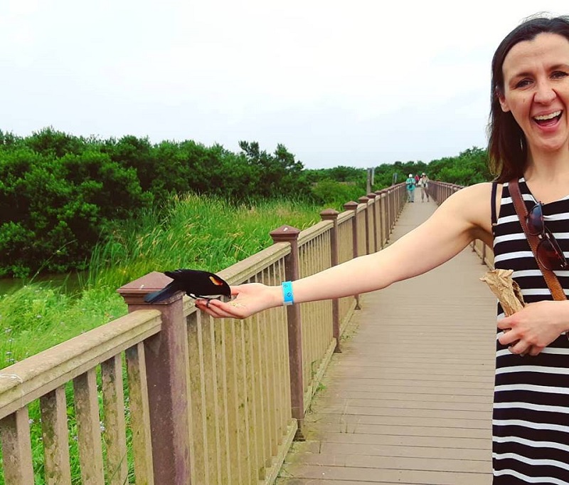 Île South Padre - BirdingcenterCasanova - Photo Melody Wren