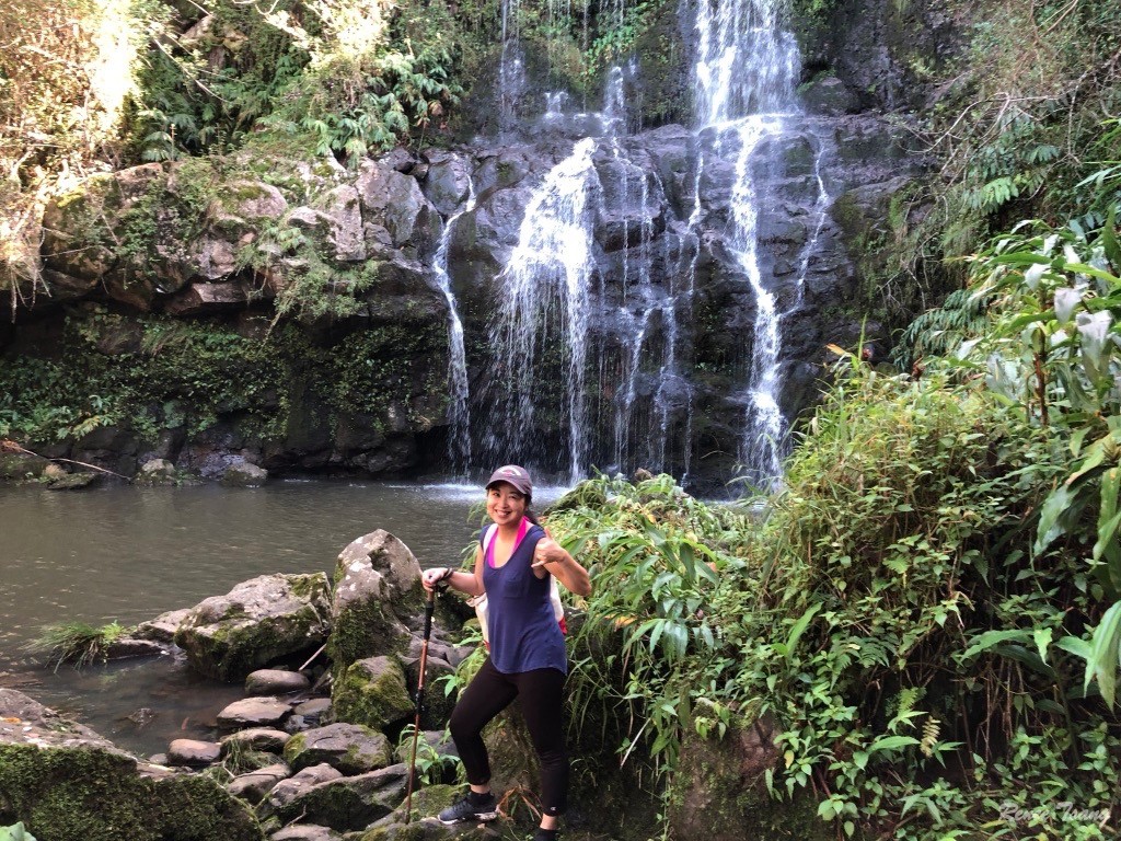 Senderismo por la costa de Kohala con el bosque y el sendero de Hawái Isla Grande de Hawái