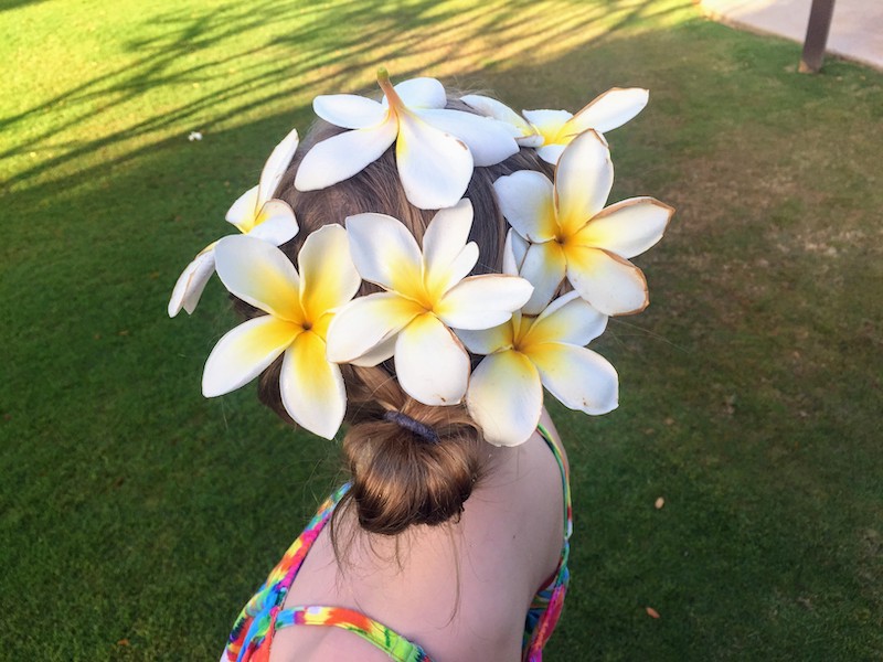 corona de flores de plumeria