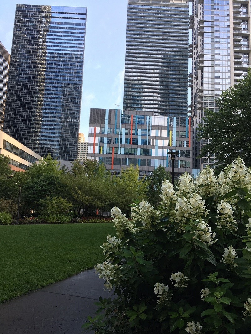 Lake Shore East Park was like a sanctuary inside the city where many locals enjoyed an early morning walk. Photo Deinse Davy