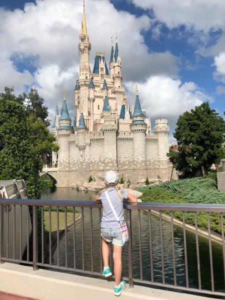 Debe ver las atracciones de Orlando Disney1 - Foto Karen Robock