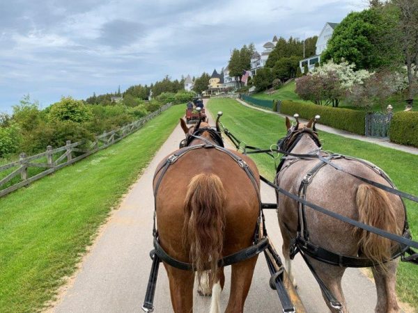 从马和马车麦基诺岛观看 - 照片 Melody Wren
