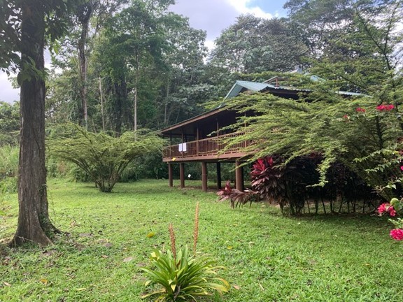 Öko-Lodges sind näher an der Natur - Foto Carol Patterson