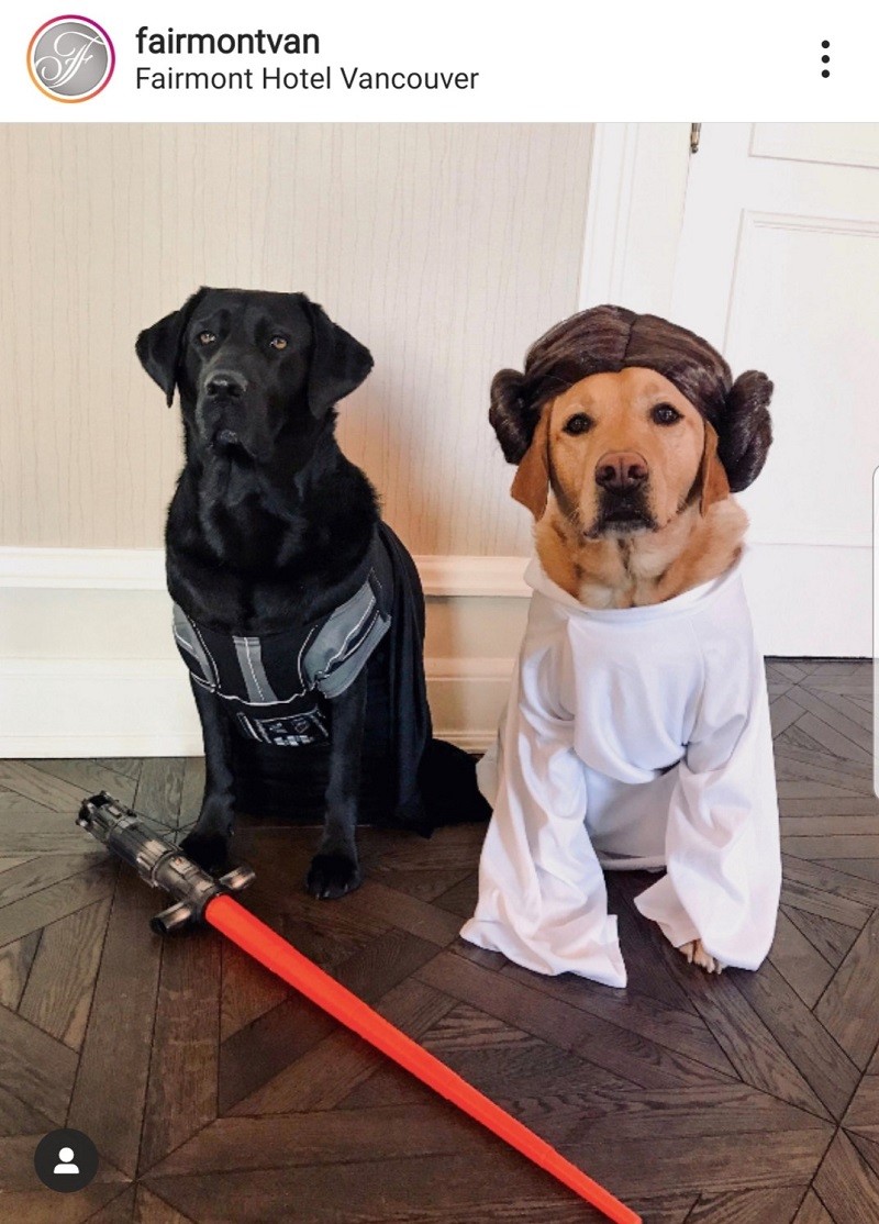 May the force be with you at Fairmont Vancouver with Ellie and Ella - Photo Credit Fairmont Vancouver Hotel