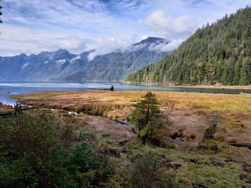 Bute Inlet Grizzly Tour 的景色 - 照片 Sabrina Pirillo