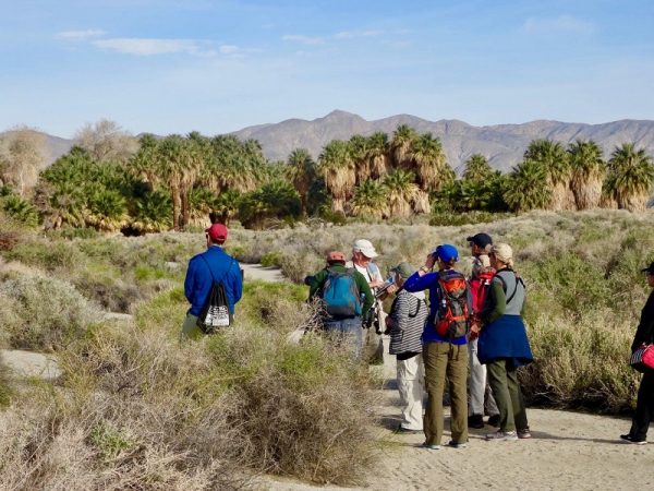 Bird watching can be done in any destination - Photo Carol Patterson