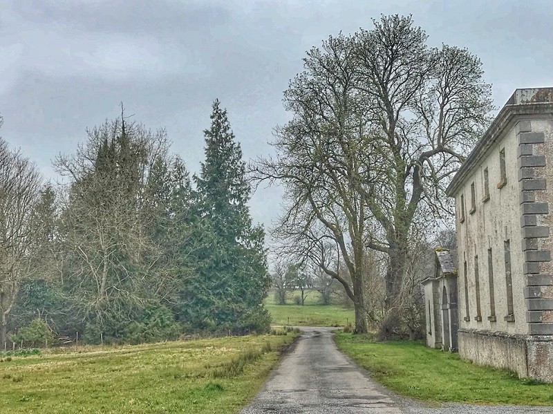 Irland - Viele Menschen verließen Irland während der Kartoffelhungersnot - Foto Carol Patterson