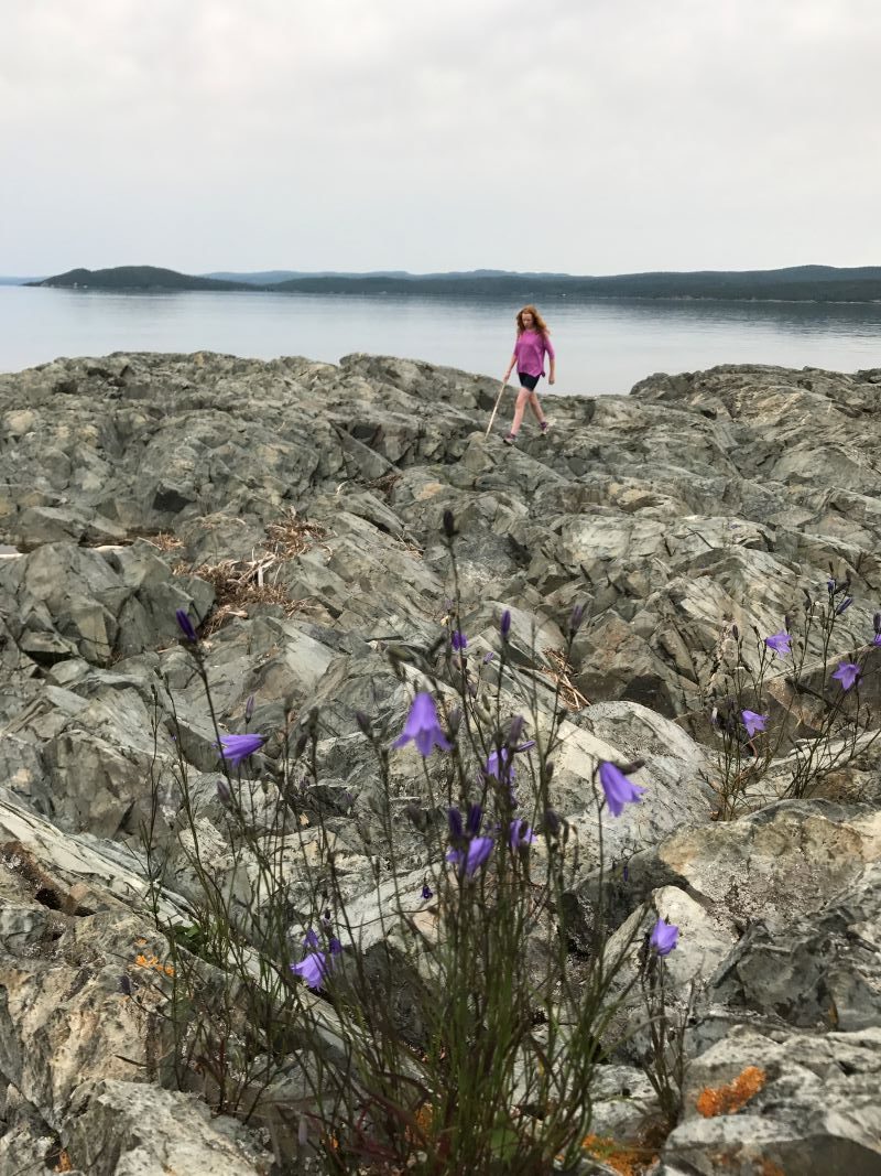 Rock-Island-Lodge Lake Superior Road Trip - تصویر جینیفر میرک