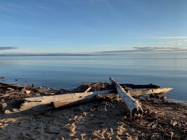 Lesser Slave Lake는 모래 해변과 북부 모험을 제공합니다. 사진 캐롤 패터슨