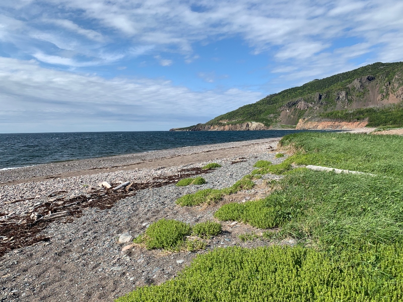 Praia de Petit Etang