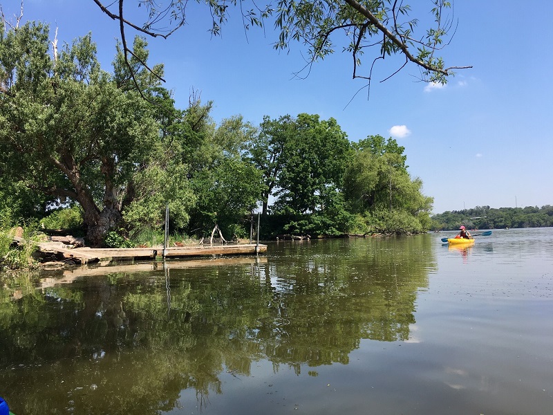 Cootes Paradise en Hamilton y el muelle desde donde se lanzan los kayaks. Foto Denise Davy