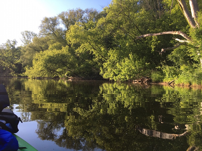 Muitas vezes a água é tão calma em Bronte Creek que parece vidro. Foto Denise Davy