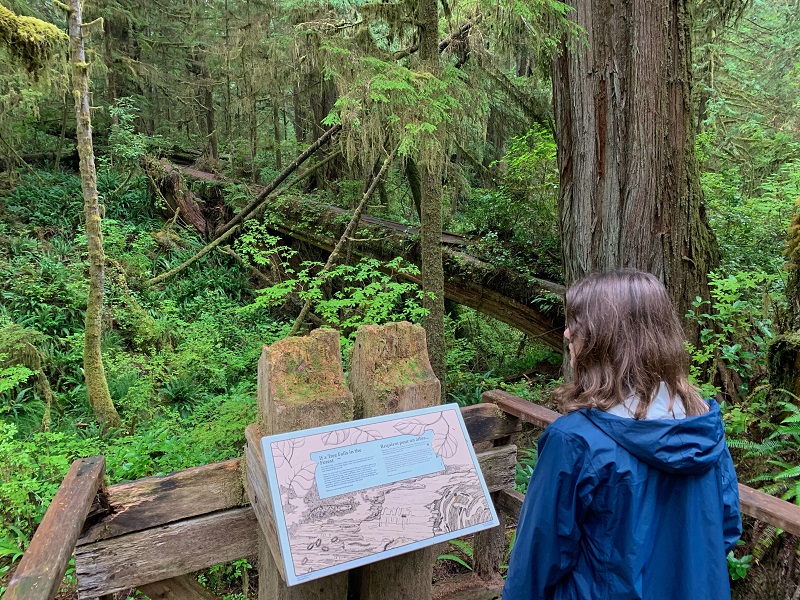 Hiking in Pacific Rim National Park Reserve_Lisa Kadane photo