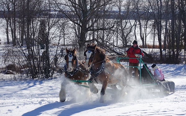 Elmhirst's Resort -sleigh ride Southern Ontario Road Trips