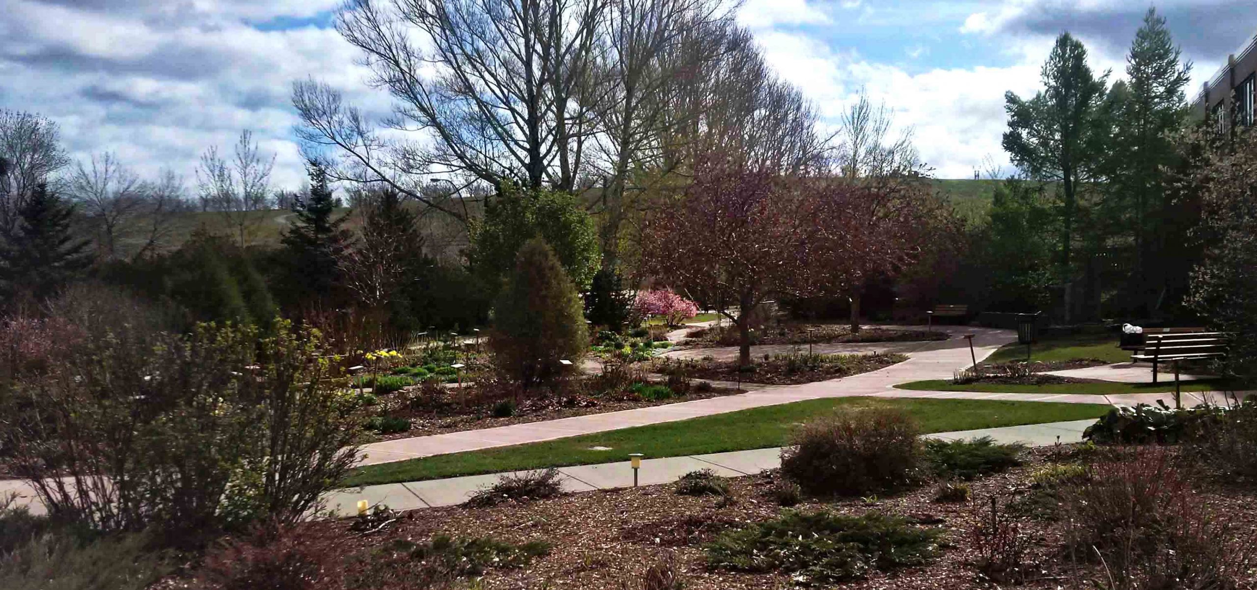 CNIB- Early Spring. Photo Janet Melrose