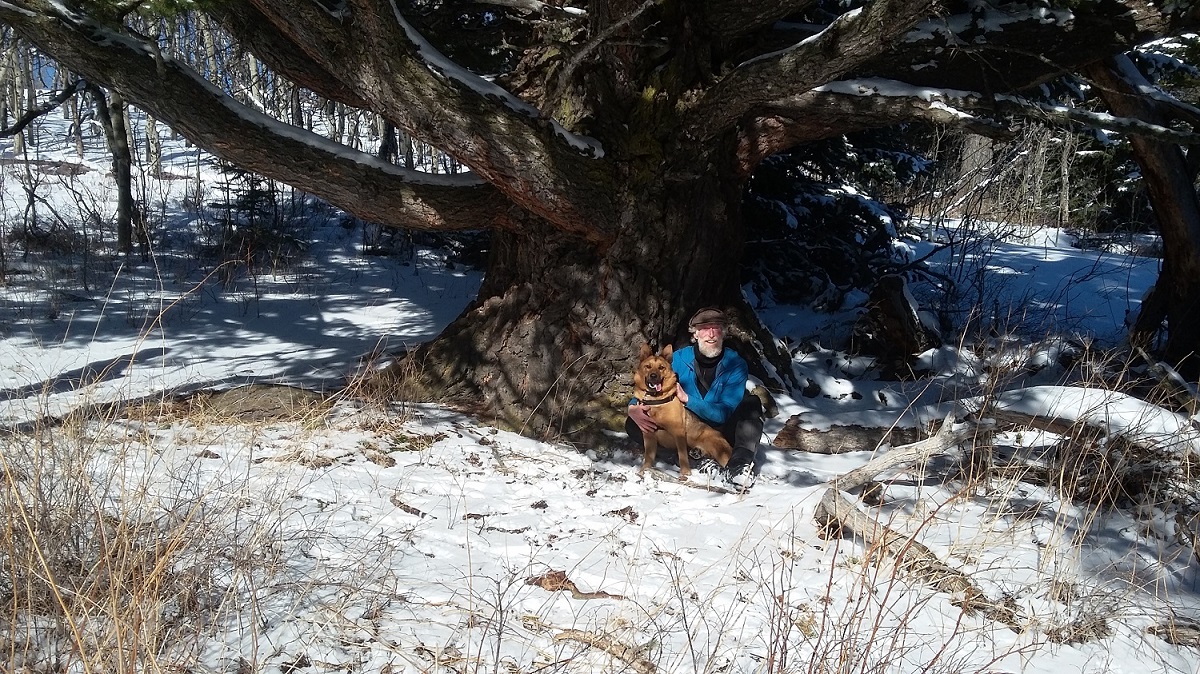 Edwin Knox, sein Hund Oka und die Big Fir nahe dem Gipfel des Mount Baldy im Beauvais Lake Provincial Park Foto von Chuck Newyar