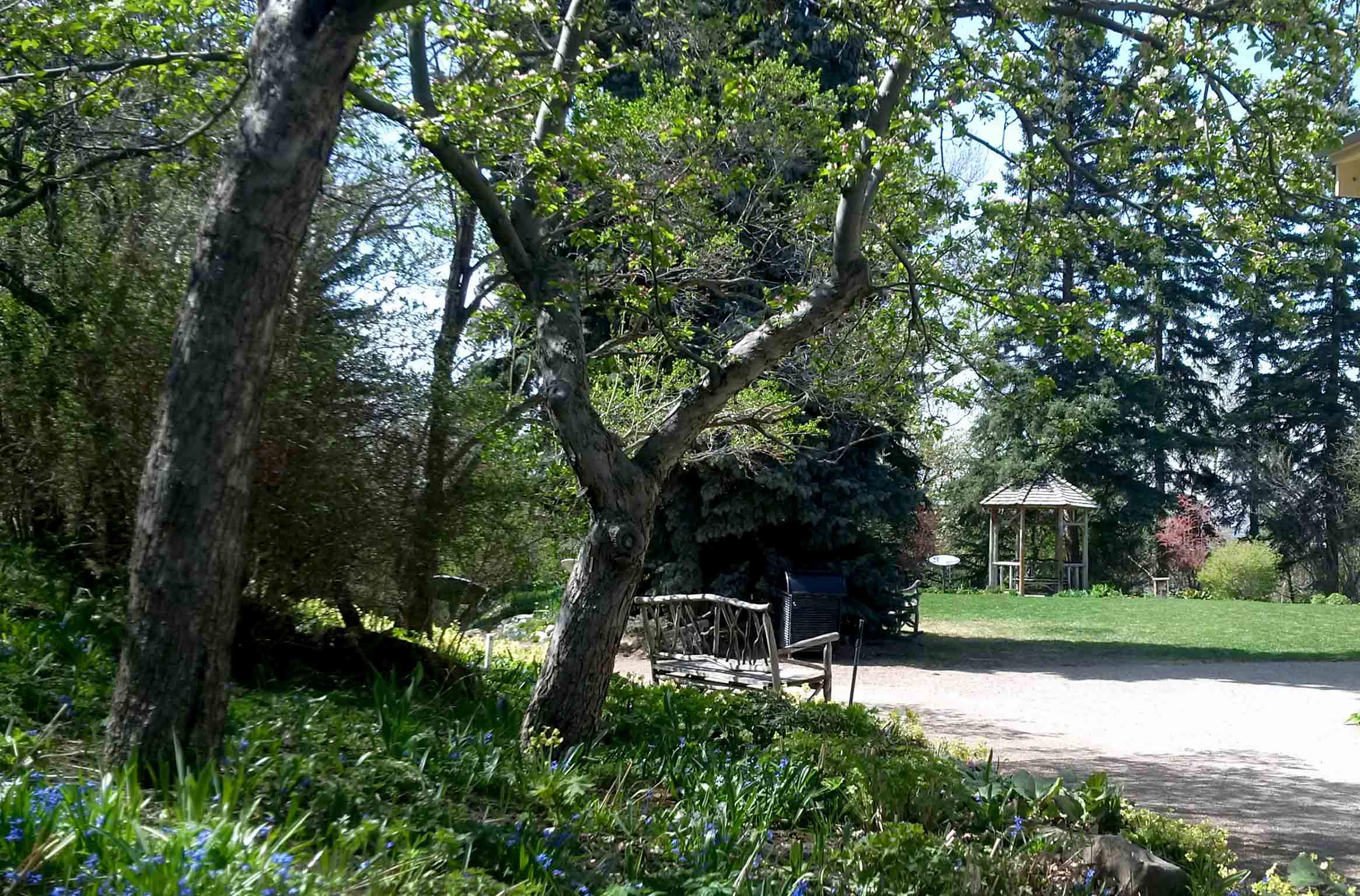 Reader Rock Garden im Frühjahr – April 2015 Foto Janet Melrose