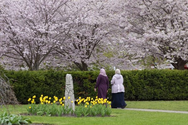 Primavera en el adobe High Park de Toronto