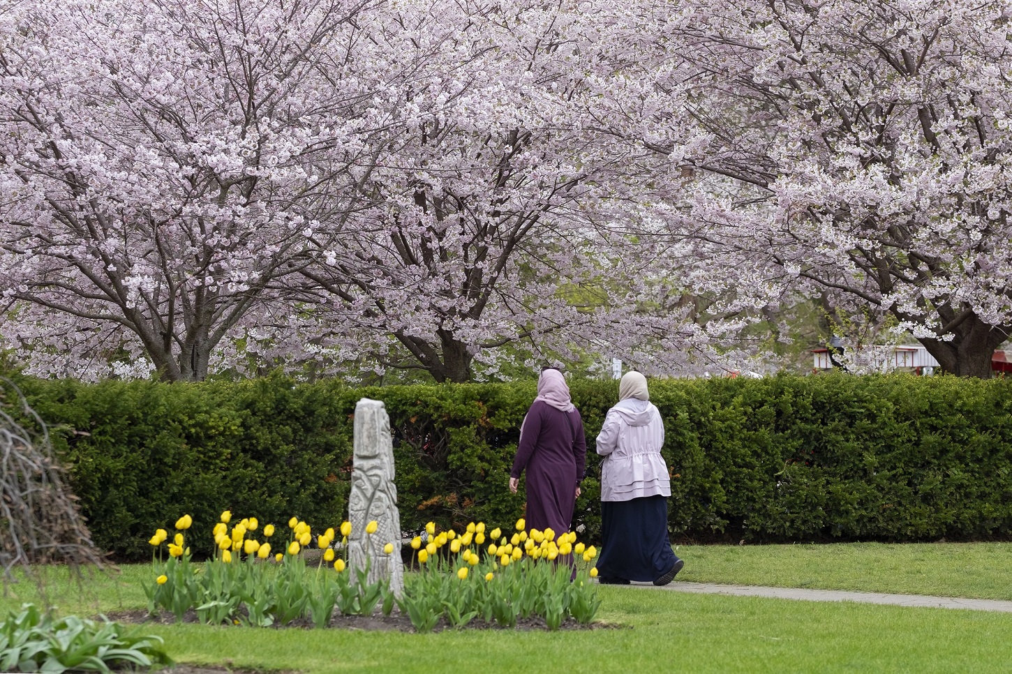 Frühling in Torontos High Park Adobe