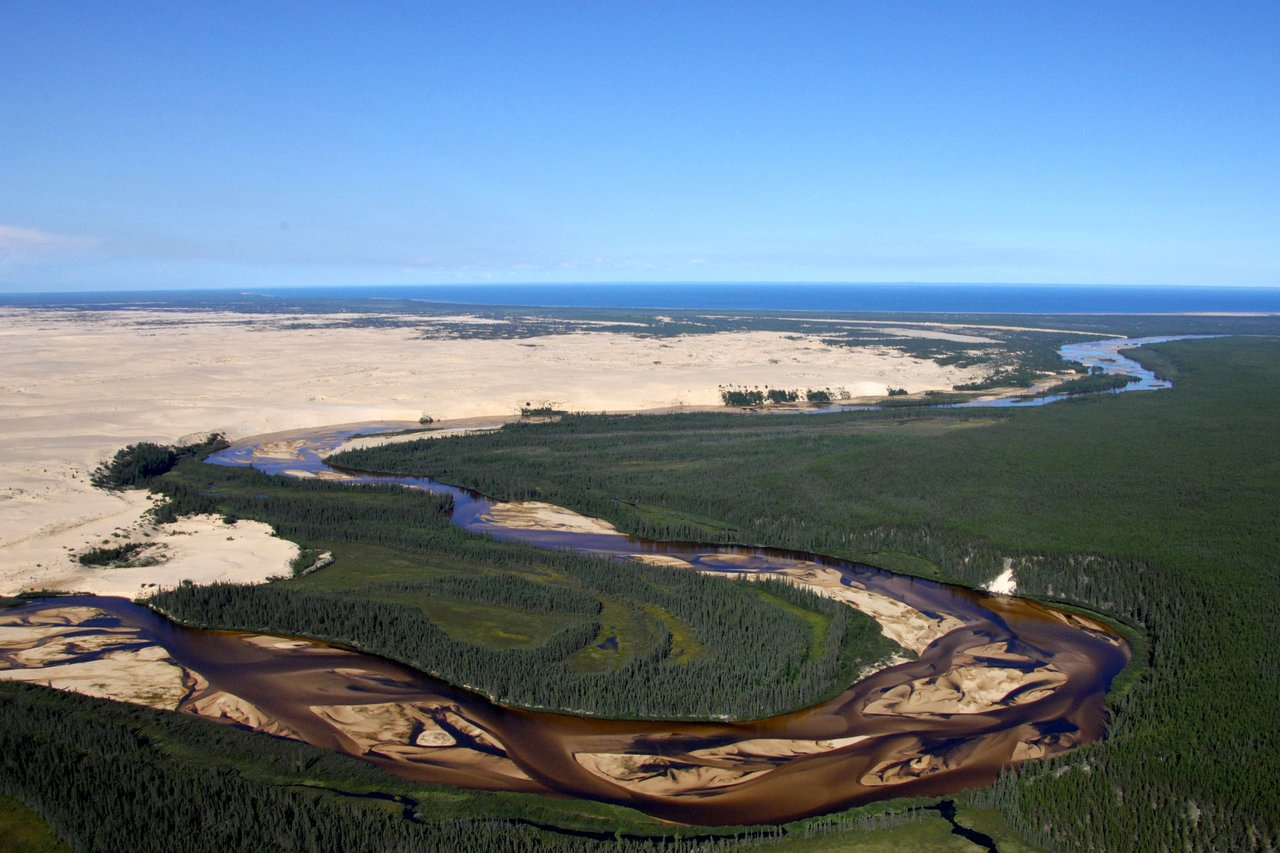 Athabasca Sand Dunes Provincial Park 사진 제공 Ron GarnettAirScapes dot ca