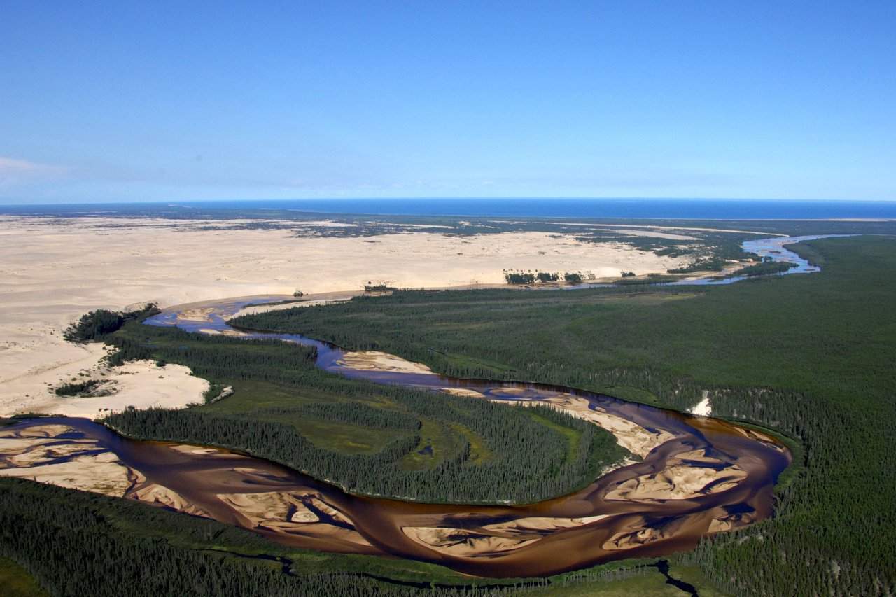 Parc provincial Athabasca Sand Dunes Crédit photo Ron GarnettAirScapes point ca