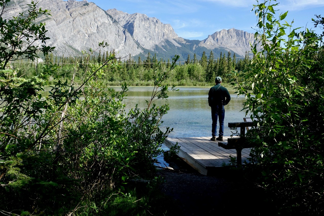 Many Springs Trails offers mountain views and wildflowers Photo Carol Patterson