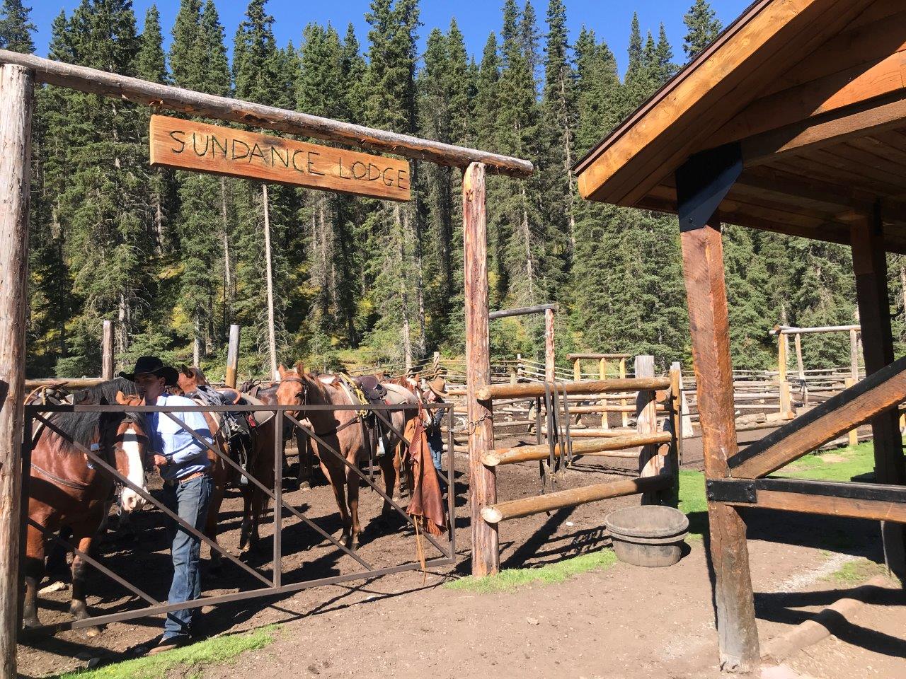 Banff Trail Riders horses in Sundance Lodge Corral