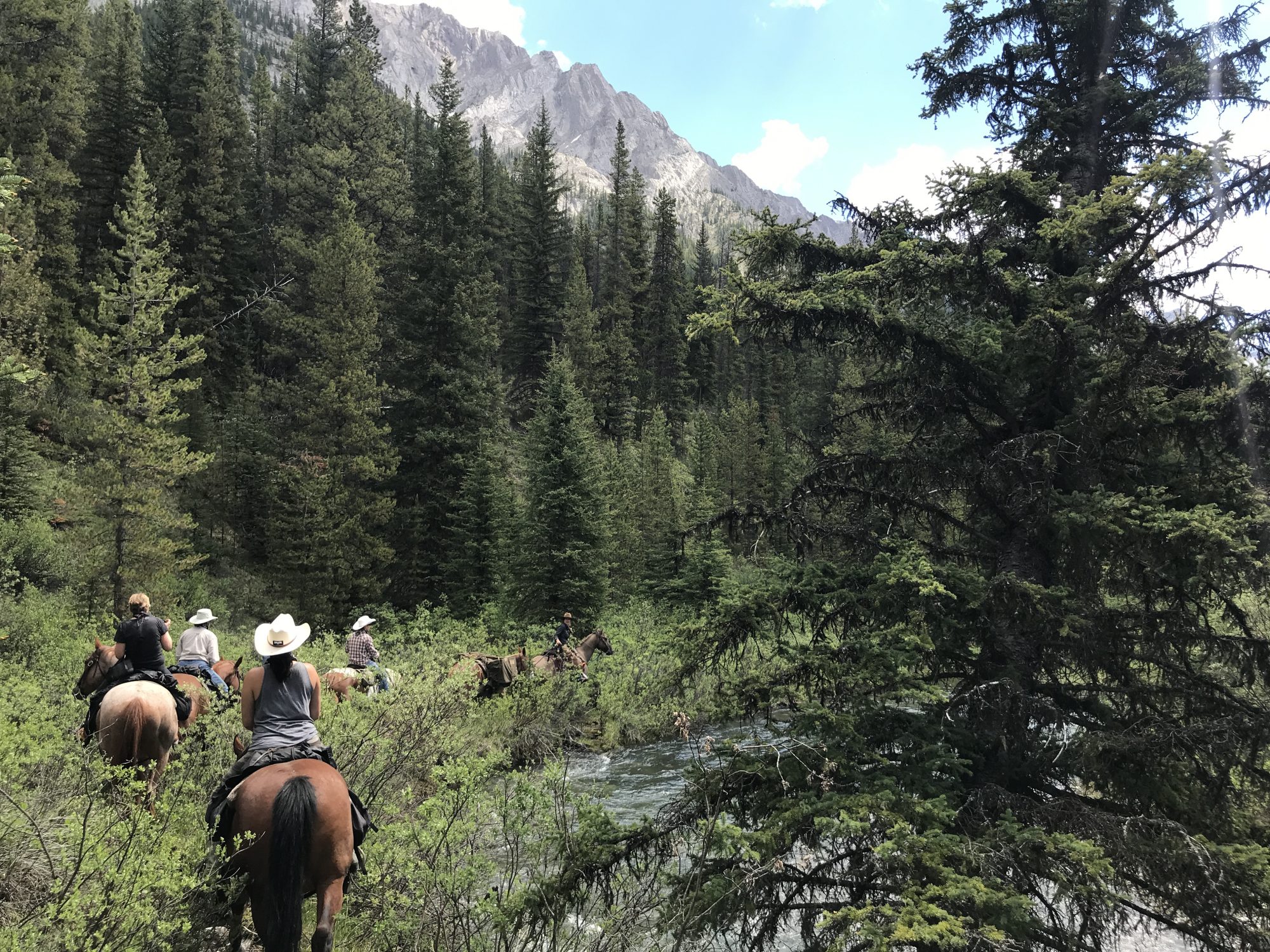 Jinetes de Banff Trail a caballo