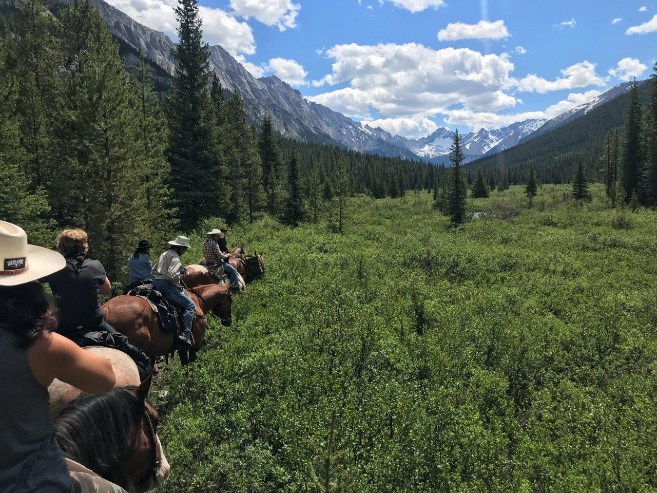 Banff Trail Riders riding thru the meadow