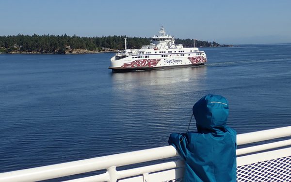 Things to do in Victoria - There's always lots to watch around the Ferry Terminal - Photo Annie Smith