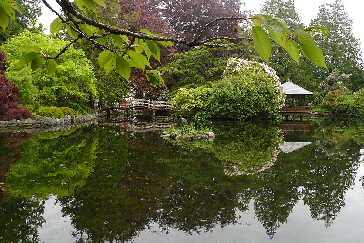 Things to do in Victoria - Hatley Gardens - Photo Annie Smith