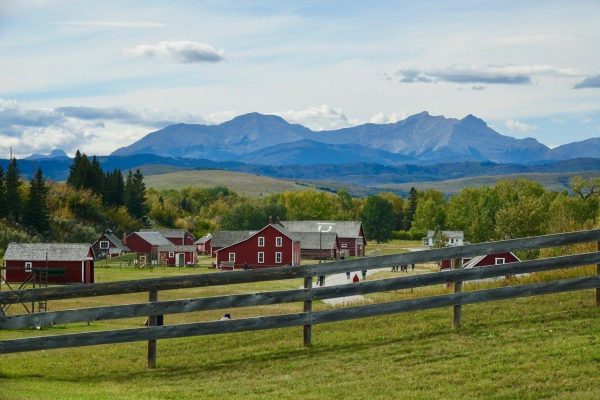 When Horses Did Chores: Ranching History at Bar U Ranch