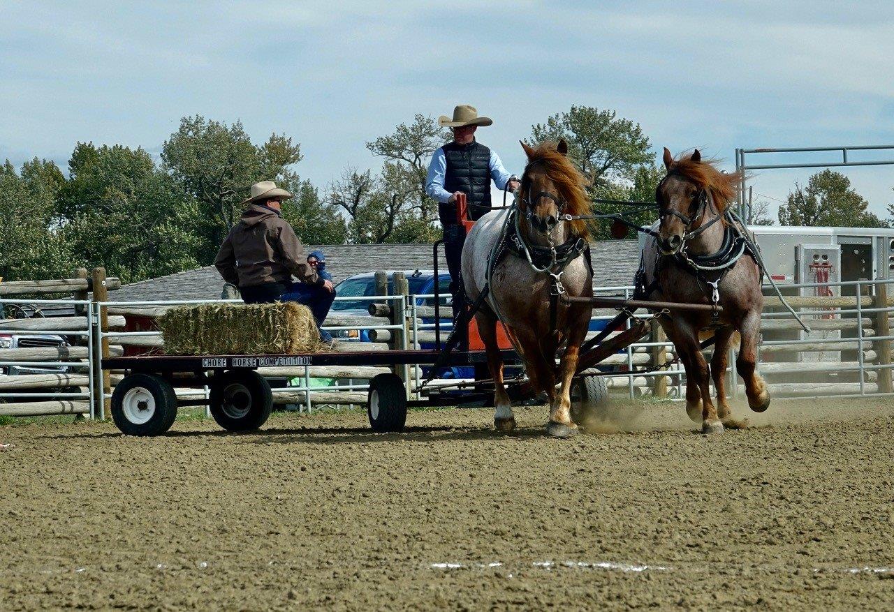Les concurrents de Chore Horse Competition donnent l'impression que c'est facile (mais ce n'est pas le cas !) - Photo Carol Patterson