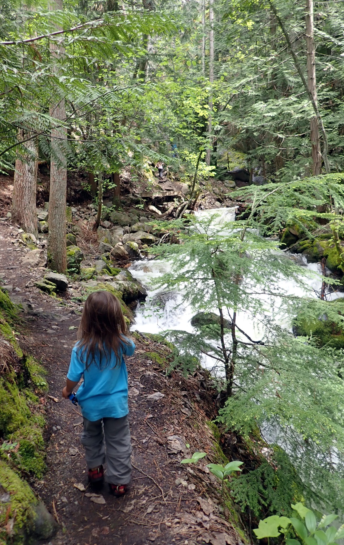 West Kootenays 的秘密瀑布 - 在 Deer Creek 旁徒步旅行 - 照片 Annie B Smith