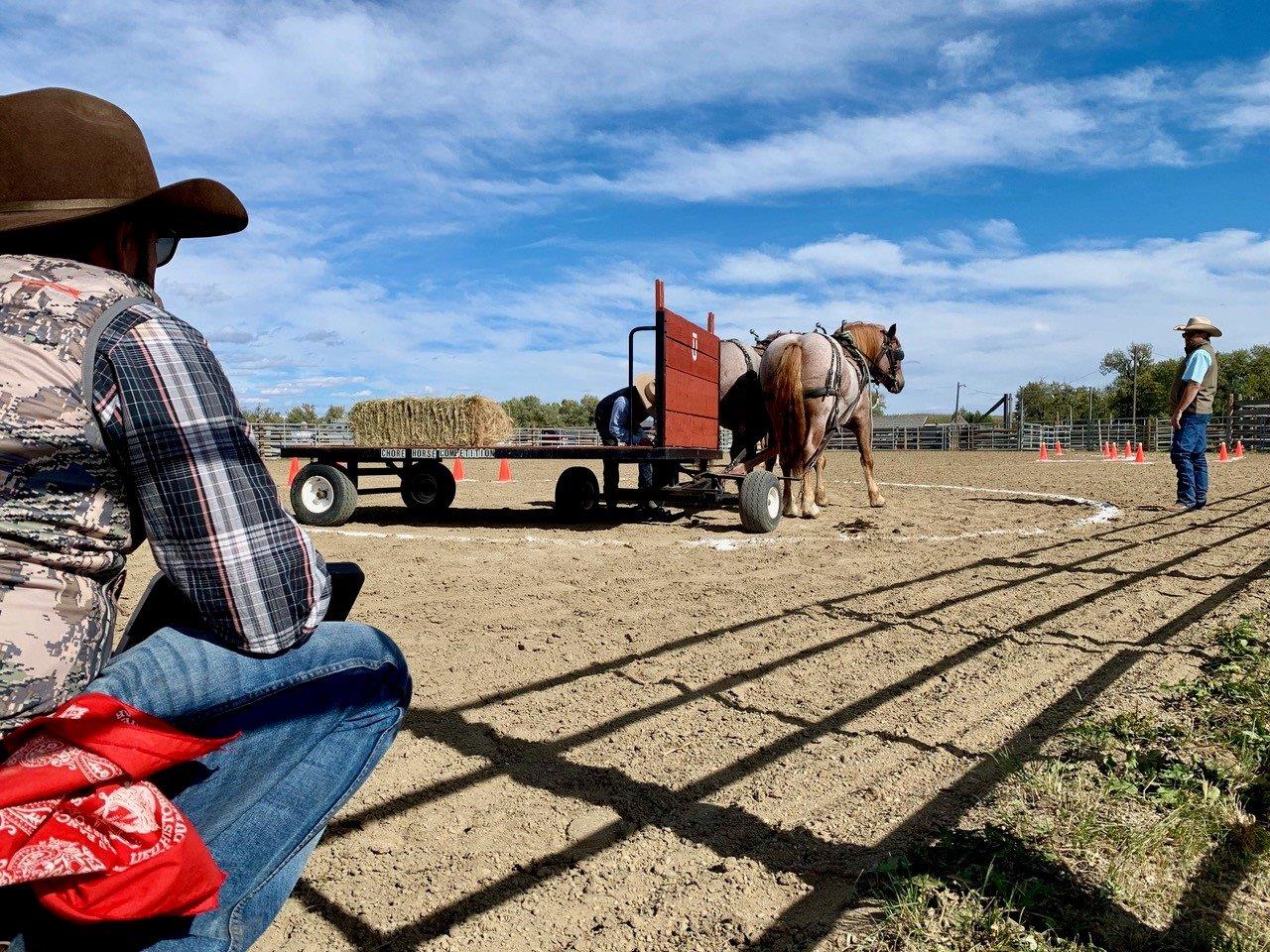 Teams must turn within a tight circle under the judge’s watch - Photo Carol Patterson