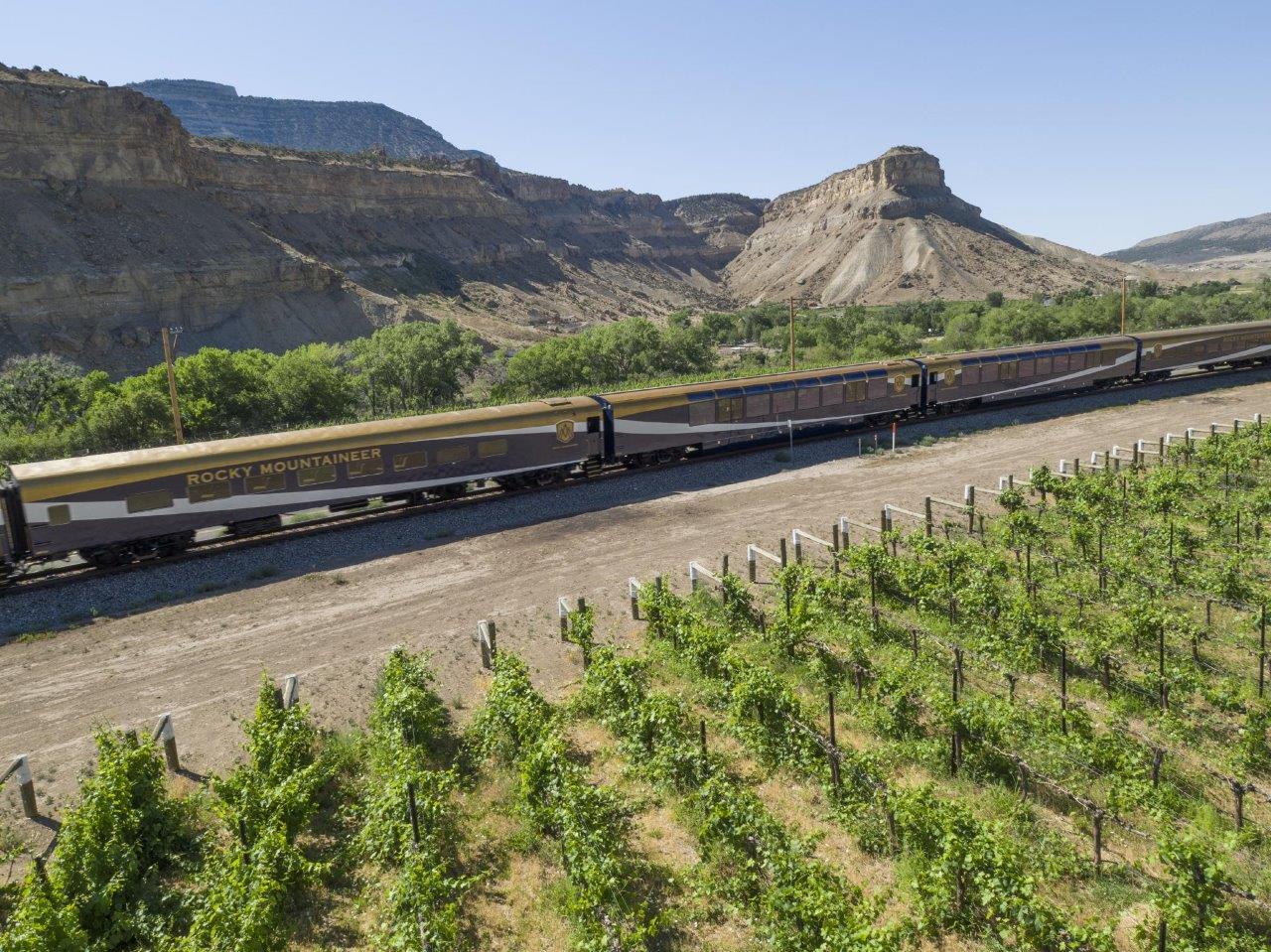 Rolling through the vineyards near Palliser - photo Rocky Mountaineer