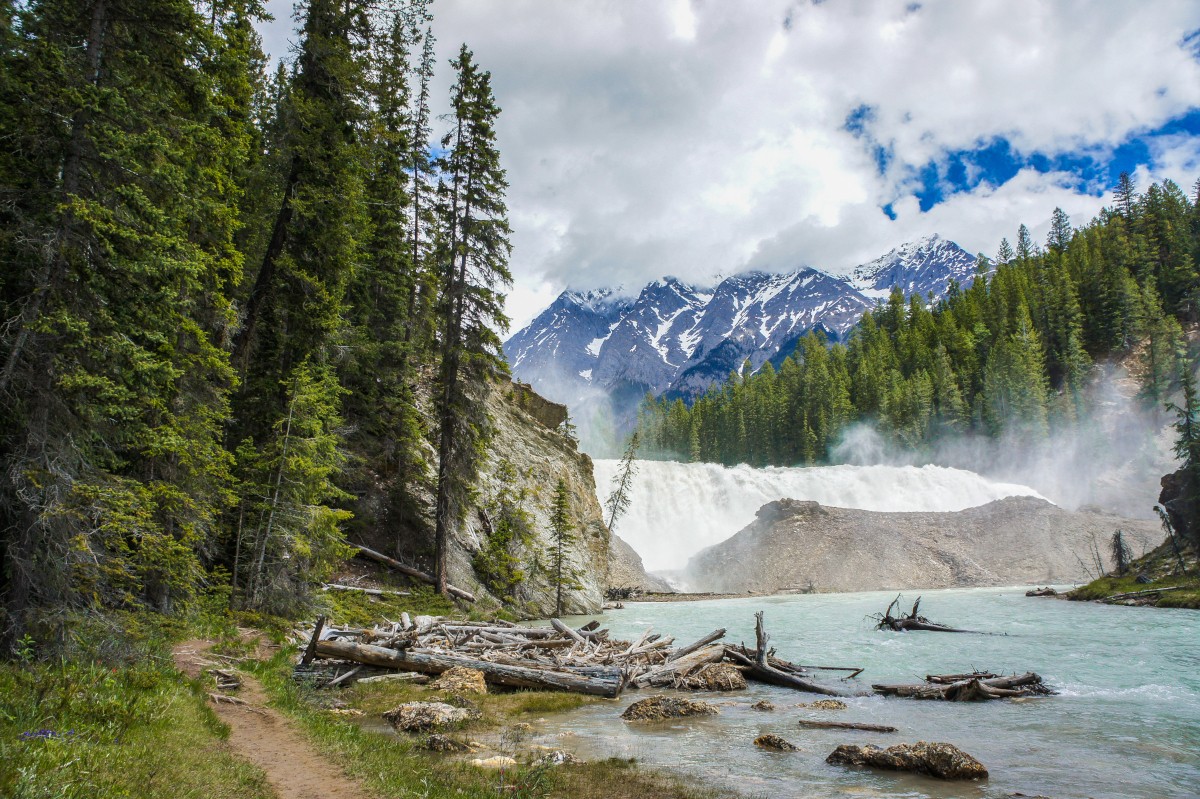 Wapta Falls는 Yoho National Park의 더 조용한 서쪽 끝에 숨겨져 있습니다. 사진 제공: Parks Canada. 에이미 크라우스