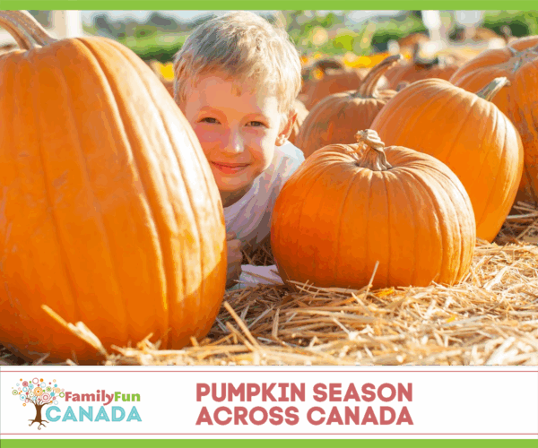 Pumpkin Patches Across Canada