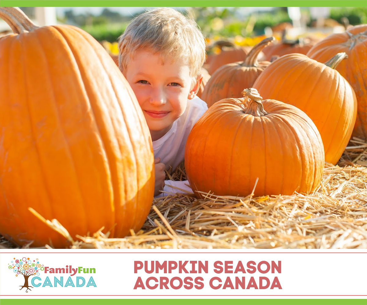 Pumpkin Patches Across Canada