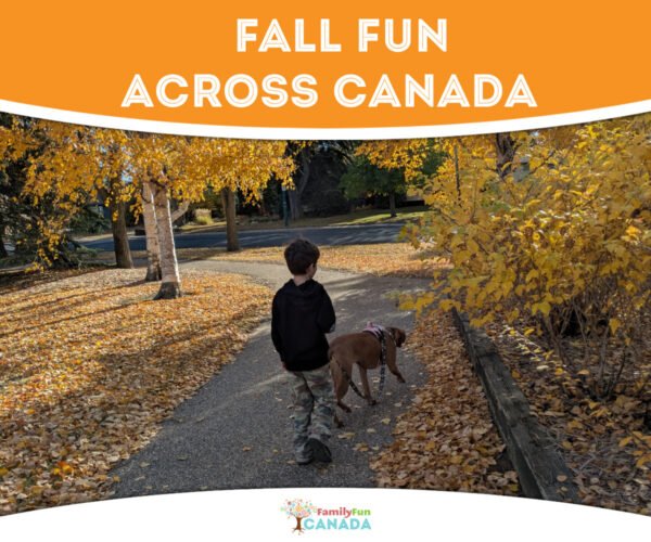 Fall Family Fun