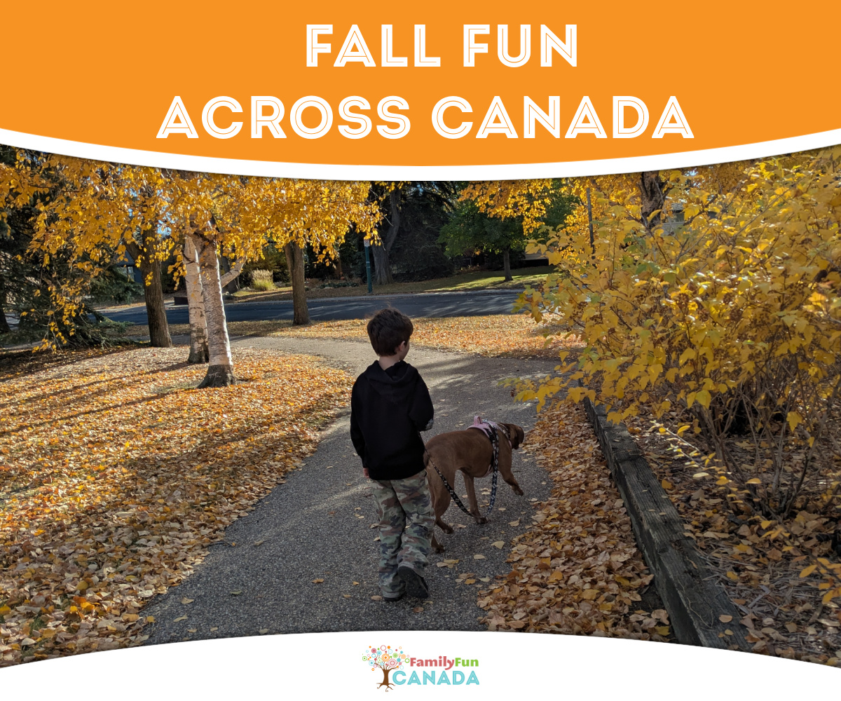 Fall Family Fun