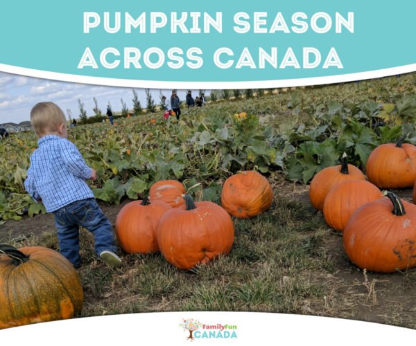 Pumpkin Patches Across Canada
