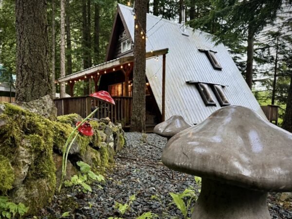 A-Frame Magic Mushroom Cabin in the Forest